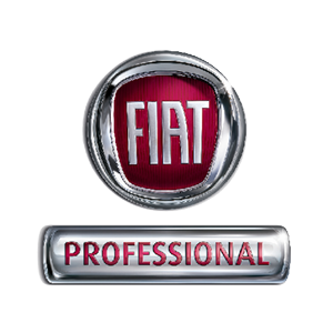 fiat professional